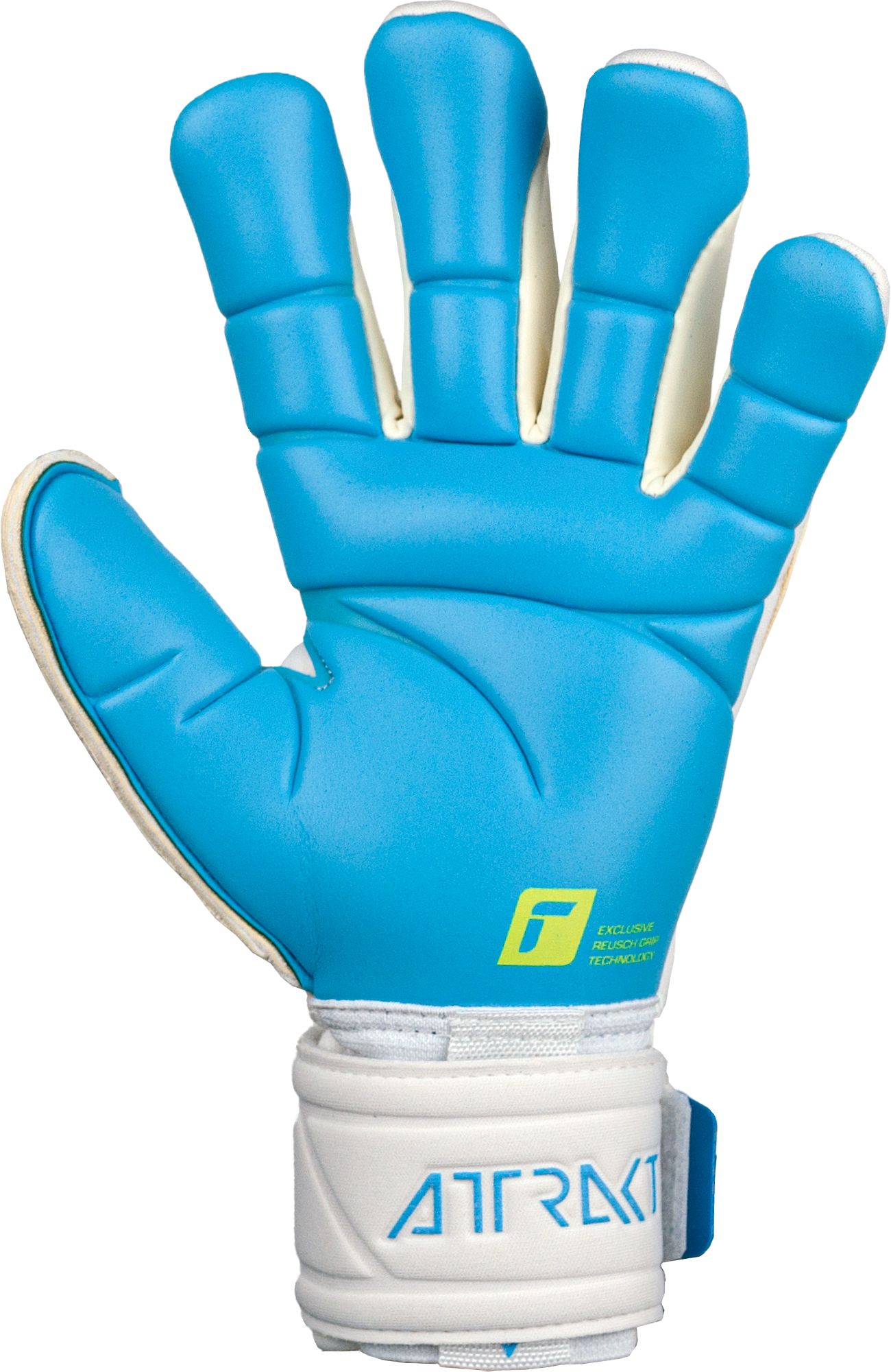Reusch fit control pro ax2 evolution nc hotsell